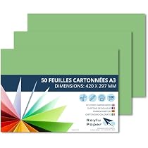 Lot De 50 Feuilles Cartonnées A3 Arc-en-Ciel - 210 G/m², 100% Recyclé - Idéal Loisirs Créatifs - 2