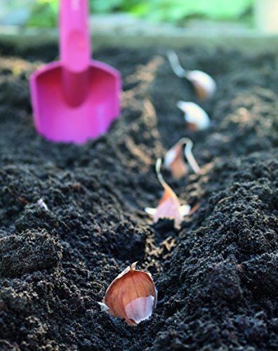 Fiskars Blumenkelle, Länge 29 cm, Glasfaserverstärkter Kunststoff, Pink/Orange, Inspiration, Ruby, 1003665 - 3
