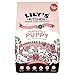 Produktbild Lilys Kitchen Perfekt Puppy Chicken with Salmon (1 kg) - Packung mit 2