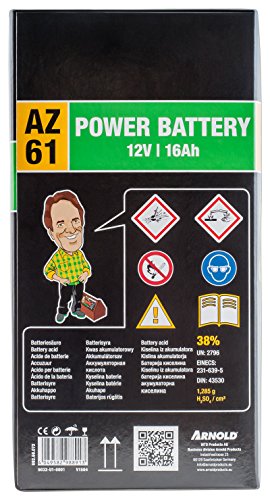 Arnold 5032-U1-0001 Original MTD Batterieset, 12V-16Ah - 5
