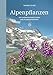 Produktbild Alpenpflanzen: Die schönsten Bergtouren und Pflanzenportraits