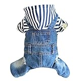 Chaqueta con capucha para perro, cachorro, pantalones vaqueros