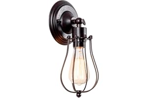 LULING Industriale Applique da parete Vintage illuminazione regolabile Sconce Rustic Wire Metal Cage Light Shade Edison Style (senza lampadina) (colore ruggine)