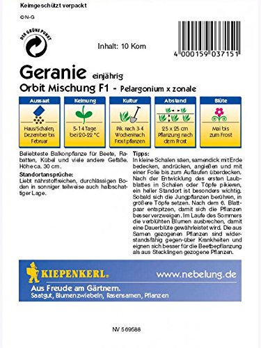 Pelargonium x zonale Geranien Mischung - 2