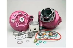 TOP PERFORMANCE 9919240 GRUPPO TERMICO TOP D.49,5mm MINARELLI AM6 GHISA