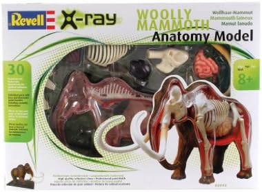 Revell X-Ray Anatomy Model Wooly Mammoth