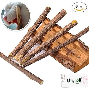[Gesponsert]Katzenminze Katzenspielzeug,Katze Dental Chew Sticks, Katze Spielzeug 5 Sticks von Pack,Unterstützen Eine Natürliche Zahnpflege und Helfen Bei Mundgeruch und Zahnstein