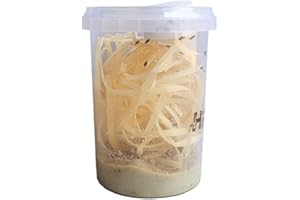 GENERIC Go-Large Advanced Husbandry Flightless Fruit Fly, Drosophila Hydei, Size 2-3mm, Culture with Multiple Life Stages (Go-Large, Newly Made)