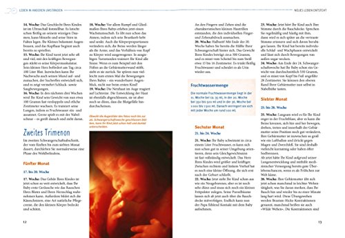 Schwangerschaft: Alles, was wichtig ist (GU Alles was wichtig ist) - 5