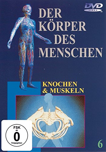 Preisvergleich Produktbild Der Körper des Menschen 6 - Knochen und Muskeln