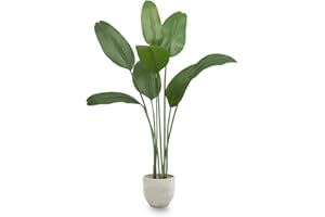 MAIA SHOP Uccello del Paradiso artificiale 150 cm, pianta finta da interno Strelitzia decorativa, albero realistico per casa ufficio hotel