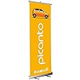 Flaming® Roll up Standee 6 x 3 ft Without Flex (Silver Color)