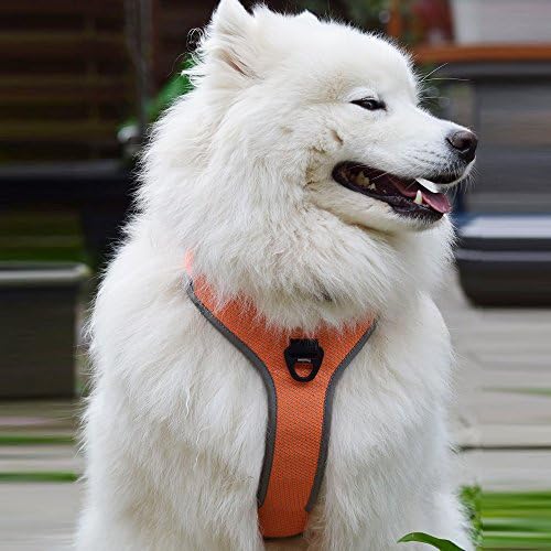 Dog Harness, Raffaelo Sport Dog Harness Pet Dog Vest Adjustable Dog Harnesses, Outdoor Dog Training Harness for Dogs for Medium and Large Dogs (Medium of Orange)