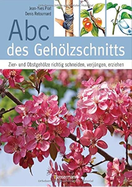 Abc Des Geholzschnitts Zier Und Obstgeholze Richtig Schneiden Verjungen Erziehen Amazon De Prat Jean Yves Retournard Denis Panzacchi Cornelia Bucher