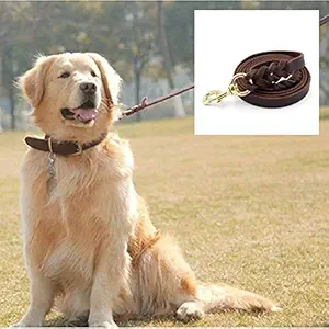 Petlicious & More Long Leather Dog Leash (Brown, 10 ft)