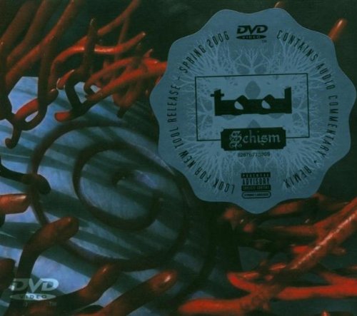 Preisvergleich Produktbild Schism (DVD-Single)