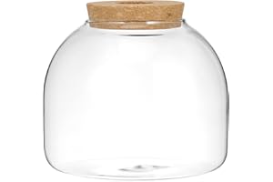ULTECHNOVO Glass Terrarium, Succulent Plant House, Desktop Candy Jar, Landscape Terrarium for Plants, Office Home Decoration