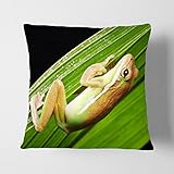 Big Box Art 'Piedra de Rana 2' cojín Manta Almohada, 43 x 43 cm