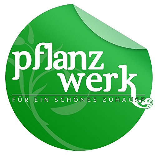 PFLANZWERK® Pflanzkübel Feuerschale PREMIUM EDELSTAHL FEUERKUGEL *INDOOR & OUTDOOR DEKOFEUER* *Rußfrei* *Rauchfrei* *Deutsche Qualitätsware* - 7