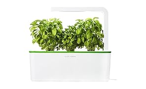 Click & Grow Smart Herb Garden - Jardinière d'intérieur - Vert