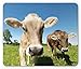 Produktbild SHAQ Farm Animal Mouse Pad Mauspad, Close Up Sweet Photo of Cows at Meadow in a with Open Sky, Standard Size Rectangle Non-Slip Rubber Mousepad, Apple Green Tan Sky Blue Caramel
