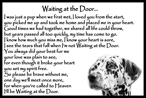 Dalmatian-Dog-pet-loss-bereavement-gift-Flexible-Fridge-Magnet-Memorial-Waiting-at-the-Door