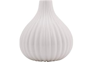 Lantro JS Nowoczesny wazon, mały wazon ceramiczny wazon, dekoracyjne wazony trwałe do pokoju domowego (mała biel, 25 * 9,8 * 2)