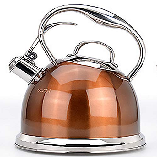 Bouilloire  Gaz En Acier Inoxydable,Orange