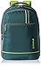 Safari 25 Ltrs Green Casual Backpack (Fusion-Green-LB) RS.945.00
