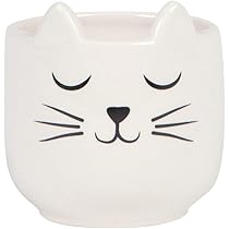 Yardwe Vaso In Ceramica A Forma Di Gatto – Piccolo Per Piante Grasse E Cactus – Bianco, 8x8x6,9 Cm – Decorazione Da Scrivania