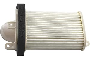 Cyleto 5GJ-15407-00-00 Filtre à Air pour YAMAHA XP500 T-MAX 500 2001-2007