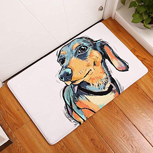 Preisvergleich Produktbild Aishankra Hund Tür Eingang Fußmatte Bodenmatte Küche Schlafzimmer Badezimmer Teppiche Anti-Rutschigen Teppich,P,1'3''X2'0'' / 40X60CM