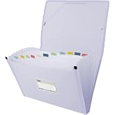 Grafoplas - Bellows Accordion Folder, Foolscap Size, Soft Lavender Colour, 13 Positions, Semi-Rigid Opaque Poly, Includes Lab