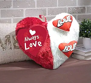 DreamVio Love Heart Shape Valentine Day Gift Fur Cushion,Plush Pillow for Gifting on Birthdays,Anniversaries Color - Red, White (Size- 17x17 inch) Shape 57