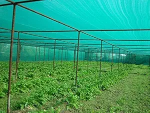 YUVAGREEN Gardening Shadenet 75% Shade 3X5 Meters Role Full Green Thick and UV Treated Long Life YU_06