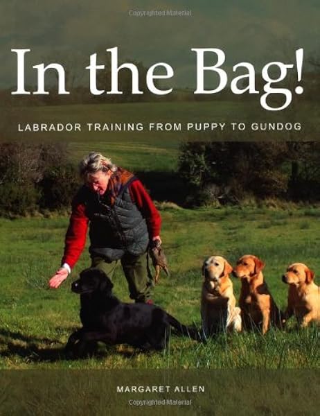 part trained labrador gundogs for sale