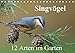 Produktbild Singvögel - 12 Arten im Garten (Tischkalender 2018 DIN A5 quer): Kalender mit 12 künstlerischen Porträts häufiger Singvögel in unserem Garten (Monatskalender, 14 Seiten ) (CALVENDO Tiere)