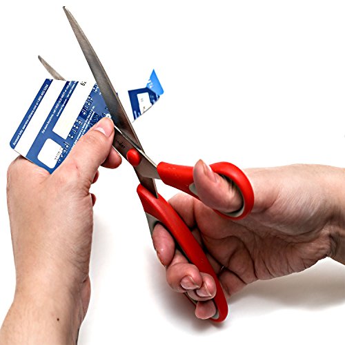 mysonder Schere 4 Set – Edelstahl Kinder Schere Klassenset mit – Scheren für Büro, Schule, Küche, Nähen, Kunst und Craft Aktivitäten – Features Langlebige Design, Komfort Grip und Razor scharfe Klingen - 6