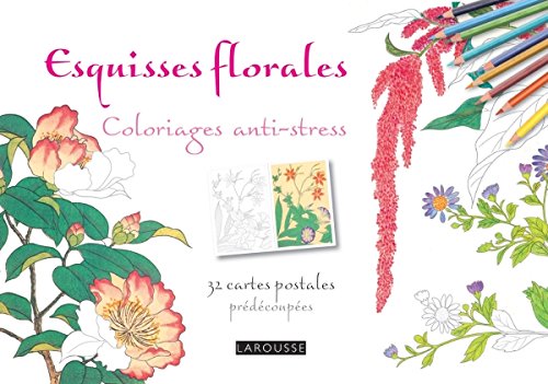 Download Esquisses florales coloriages cartes postales Download Esquisses florales coloriages cartes postales