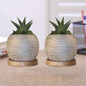 Lasaki Globe Aqua Gold Ceramic Pots with Wooden Stand Plate for Indoor Plants Planters Flower pots Outdoor Succulent Pot(wp5) Set of 2