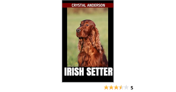 irish setter amazon