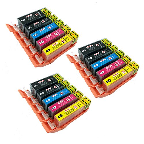 15 PerfectPrint Kompatible Tintenpatronen für Canon Pixma iP4850 iP4950 iX6550 MG5150 MG5250 MG5300 MG5320 MG5350 MG6150 MG6250 MG8150 MG8170 MG8220 MG8250 MX715 MX885 MX895 Drucker
