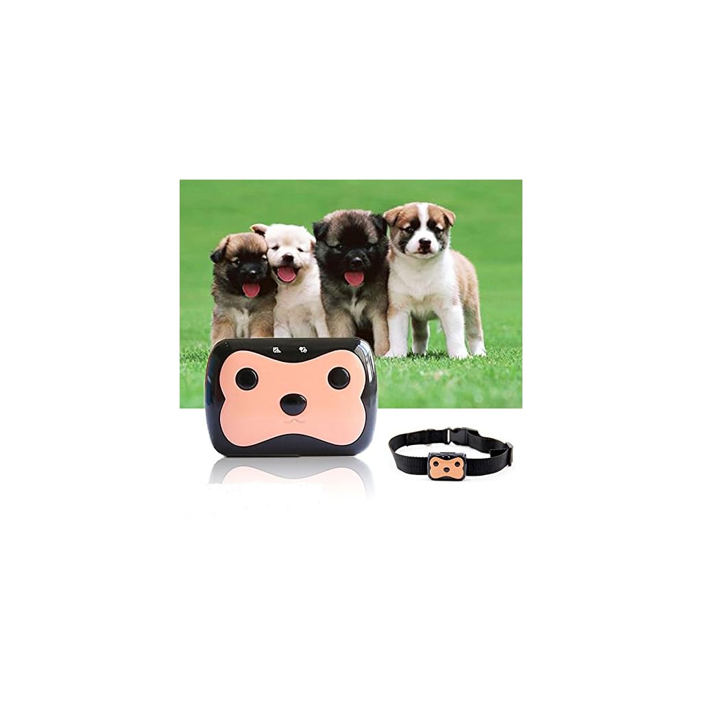 DogGPSTrackerMiniWaterproofActivityTrainingPetsforSmallDogs