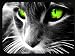 Produktbild Mauspad für Computer PC Laptop Mousepad Maus Anti Rutsch Pad verschiedene Designs MM1 katze