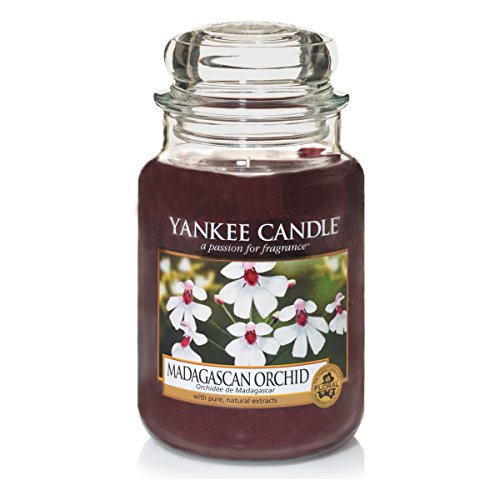 Yankee Candle Madagascan Orchid - Big Jar