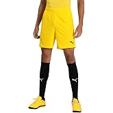 PUMA Teamgoal 23 Knit Shorts Shorts Men