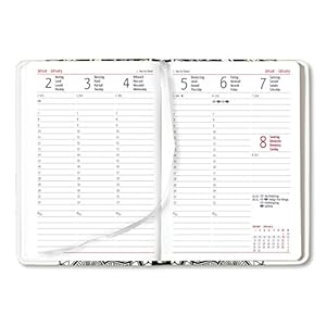 Alpha Edition Ladytimer 170841 Agenda per Anno 2017