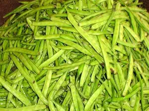 CooPany GUAR PHALI/GAWAR/CLUSTER BEANS SEEDS (25 SEEDS)