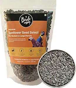 The Birds Company Premium Striped Sunflower Seed Select, Fortified with Spirulina & Cuttlefish Bone, Bird Food for Conures, Lovebirds, Cockatiels, African Grey, Macaws, Cockatoo, 450 g