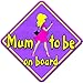 LADY * MUM TO BE * on board novely non personalised baby car window sign